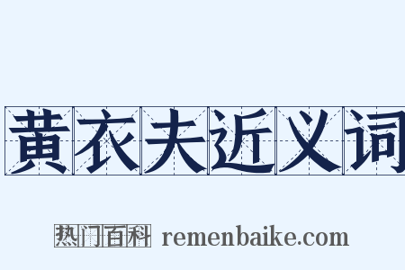 黄衣夫近义词是什么意思的图片